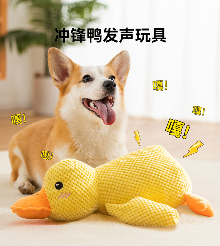 宠物玩偶 详情图 2