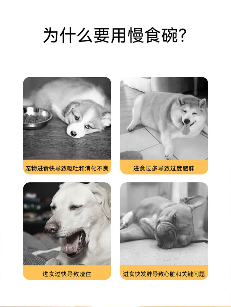 宠物慢食碗 详情图 1