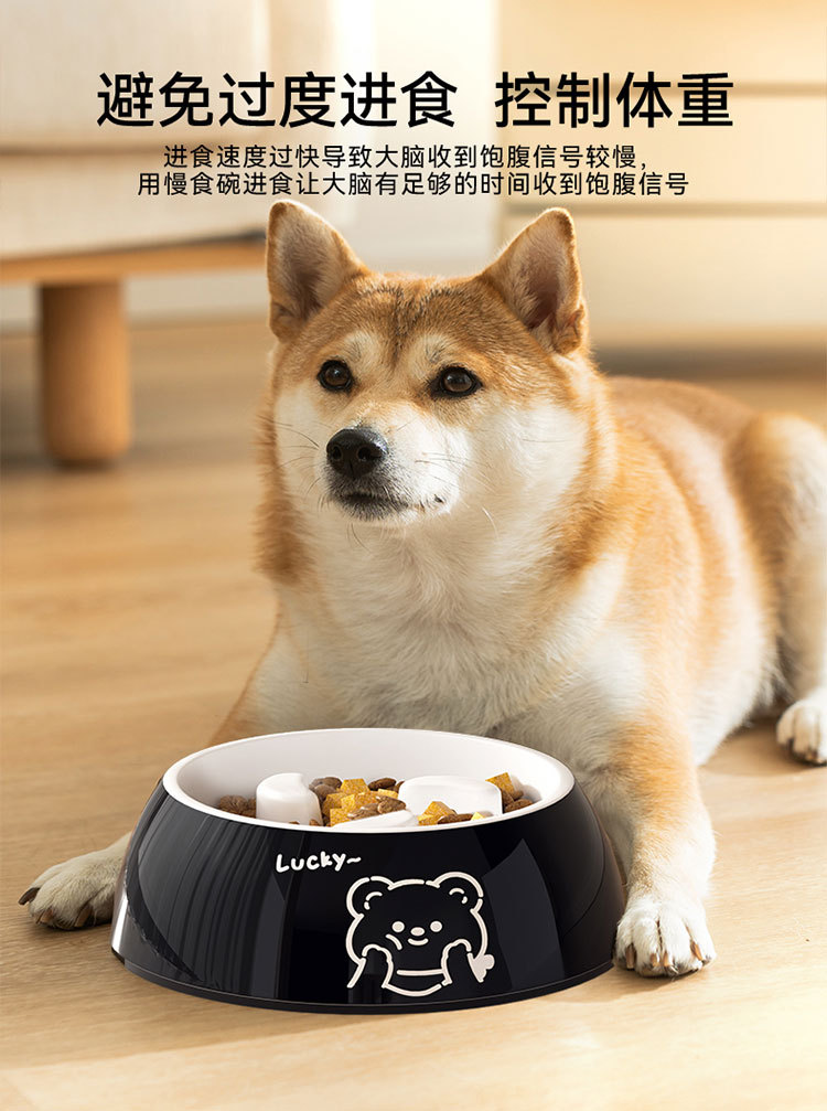 宠物慢食碗 详情图 2