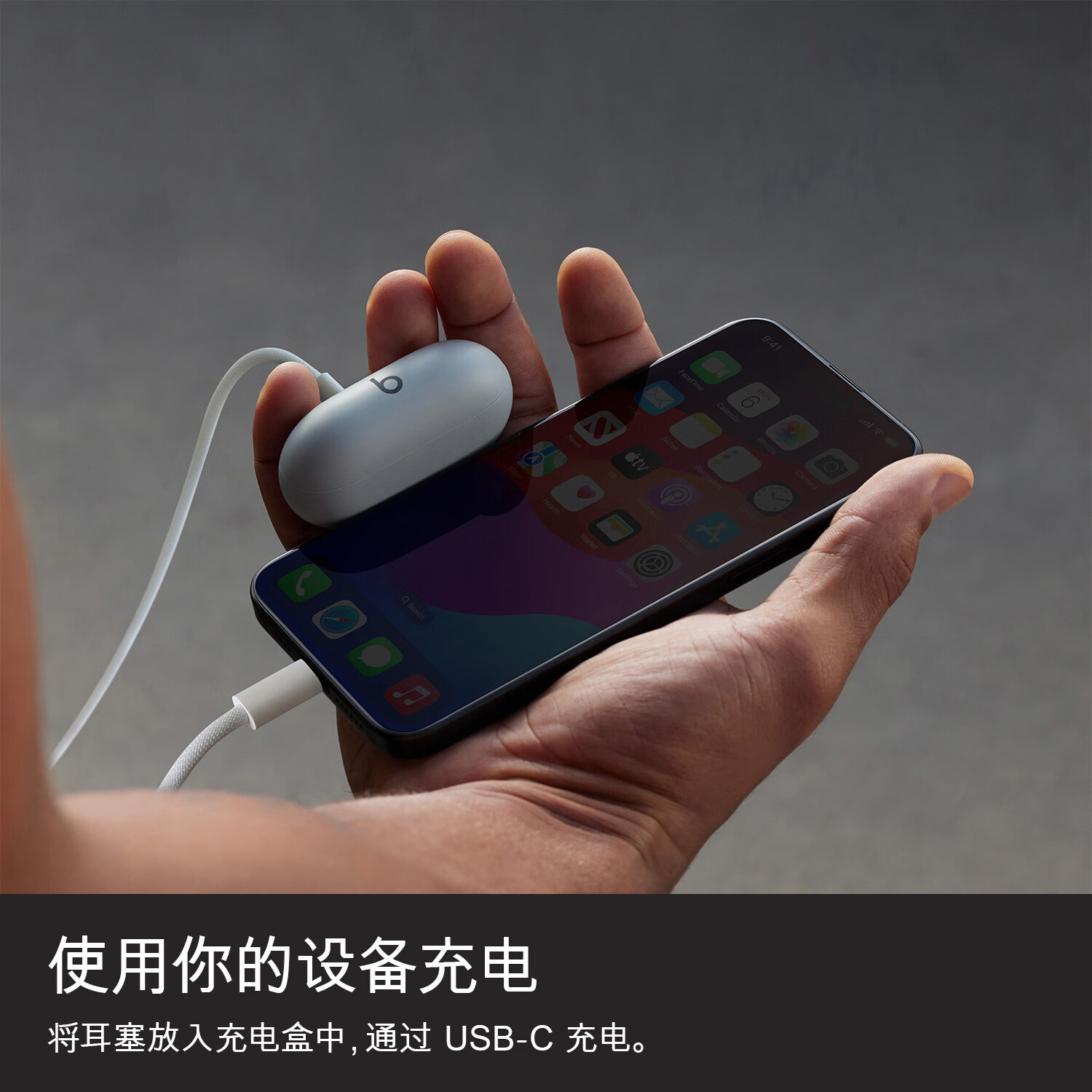 Beats 胶囊真无线蓝牙耳机 图片 5