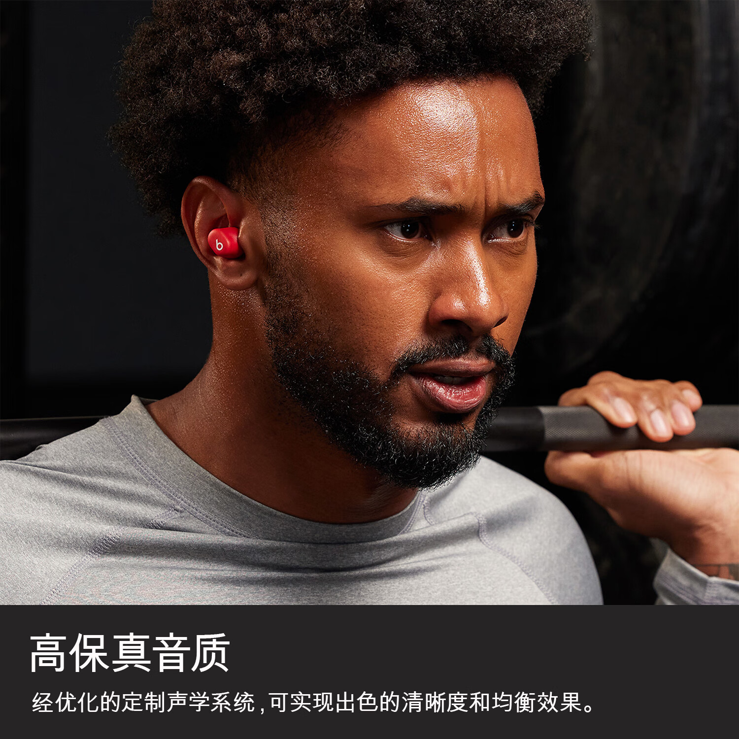 Beats 胶囊真无线蓝牙耳机 图片 4