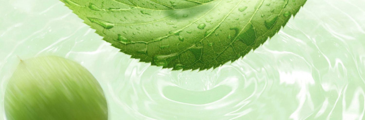 溜溜梅 脆青梅 详情图 3