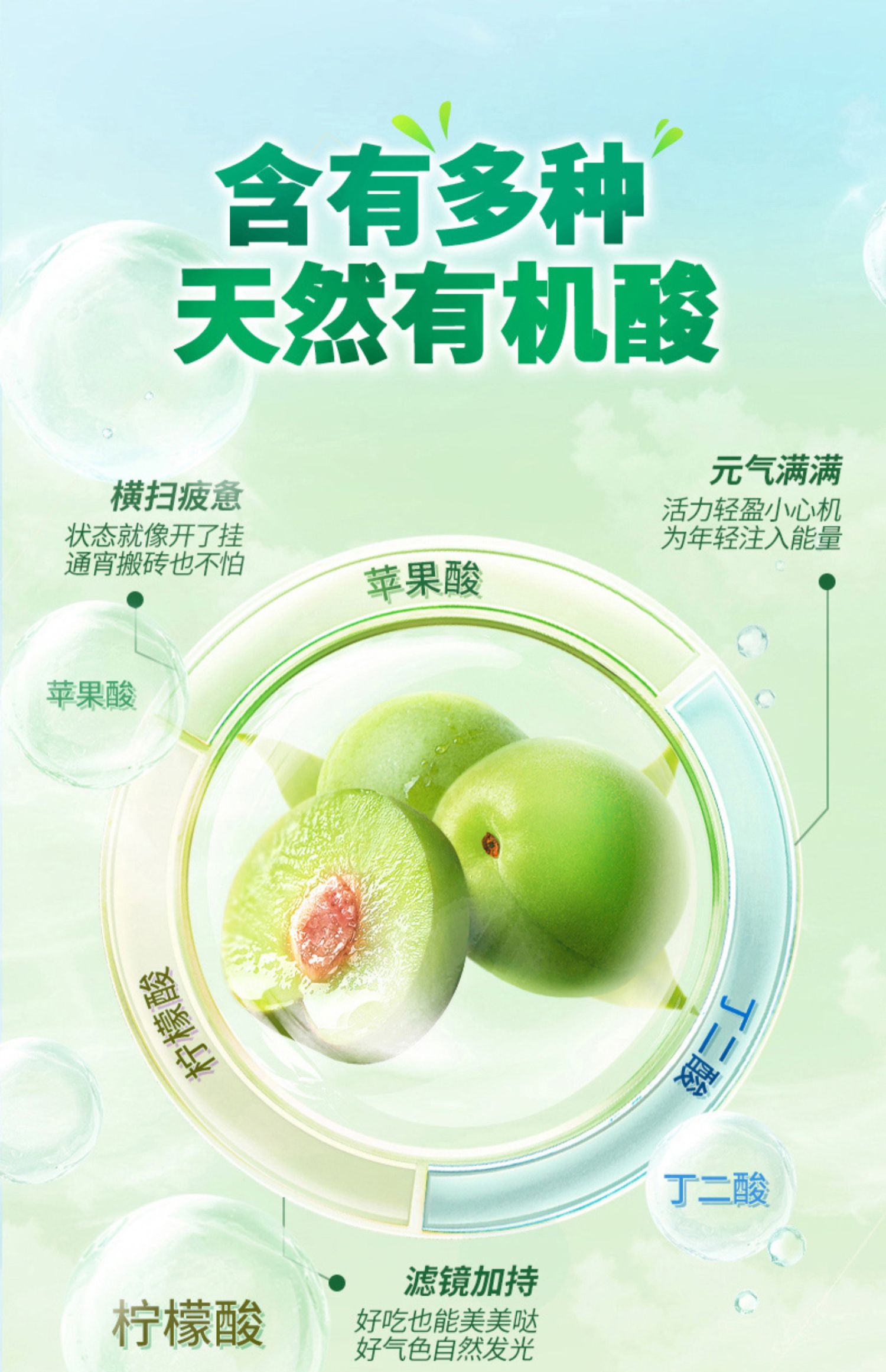 溜溜梅 脆青梅 详情图 5