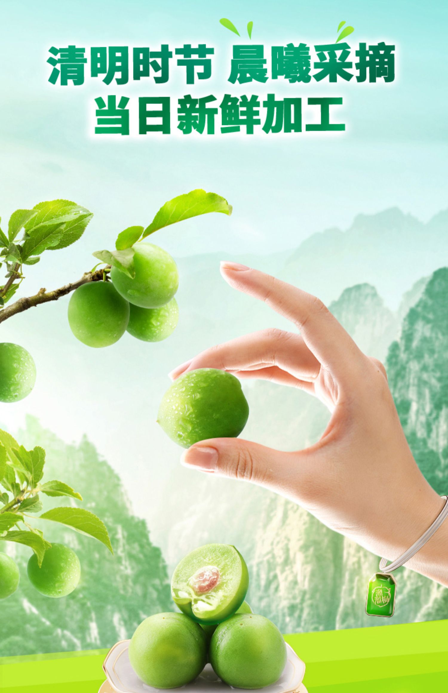 溜溜梅 脆青梅 详情图 1