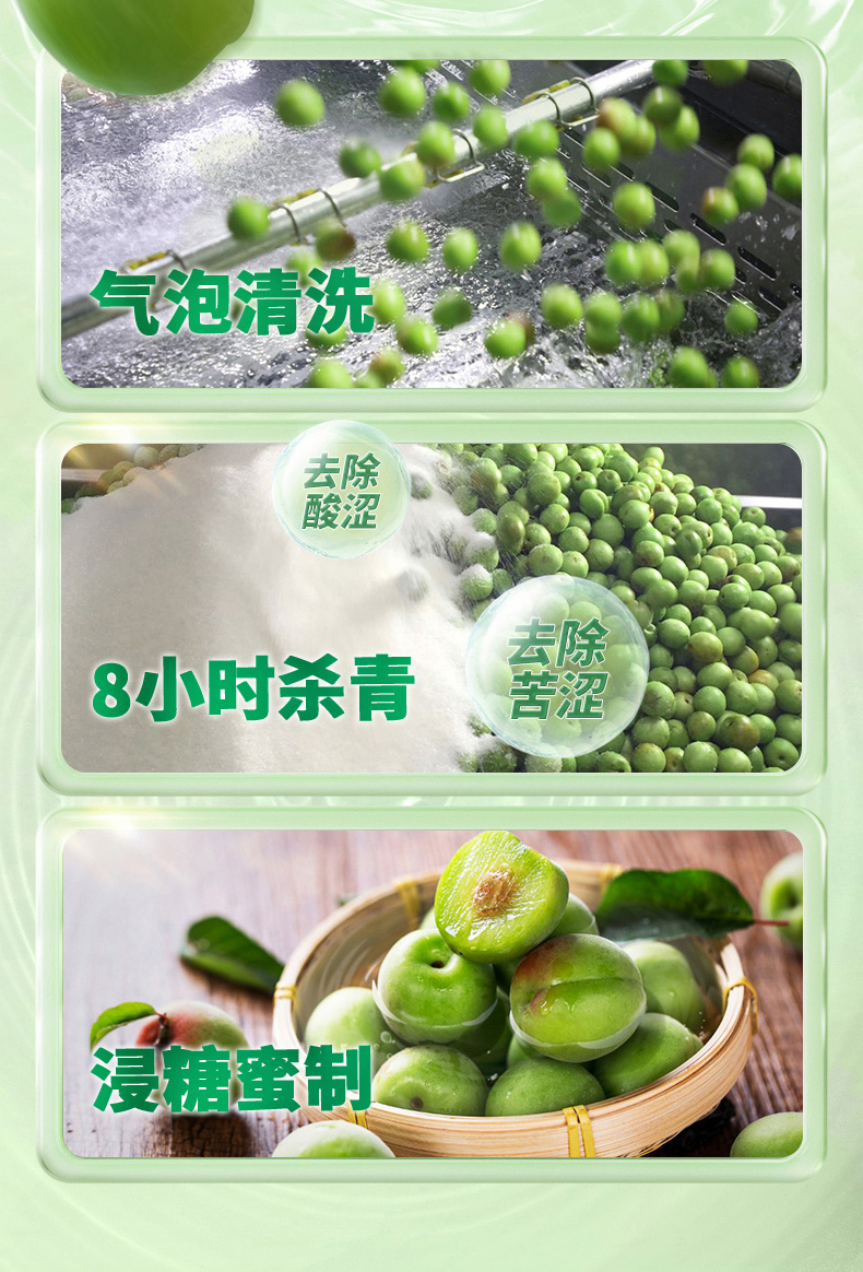 溜溜梅 脆青梅 详情图 4