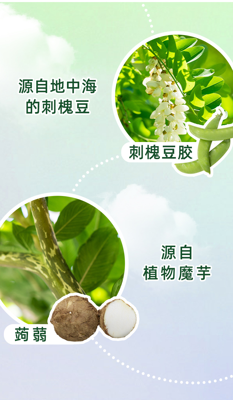 溜溜梅 5味水果冻冻桶 详情图 2