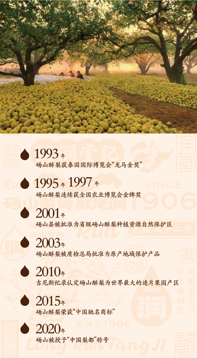 龙润堂梨膏（罐装） 详情图 5