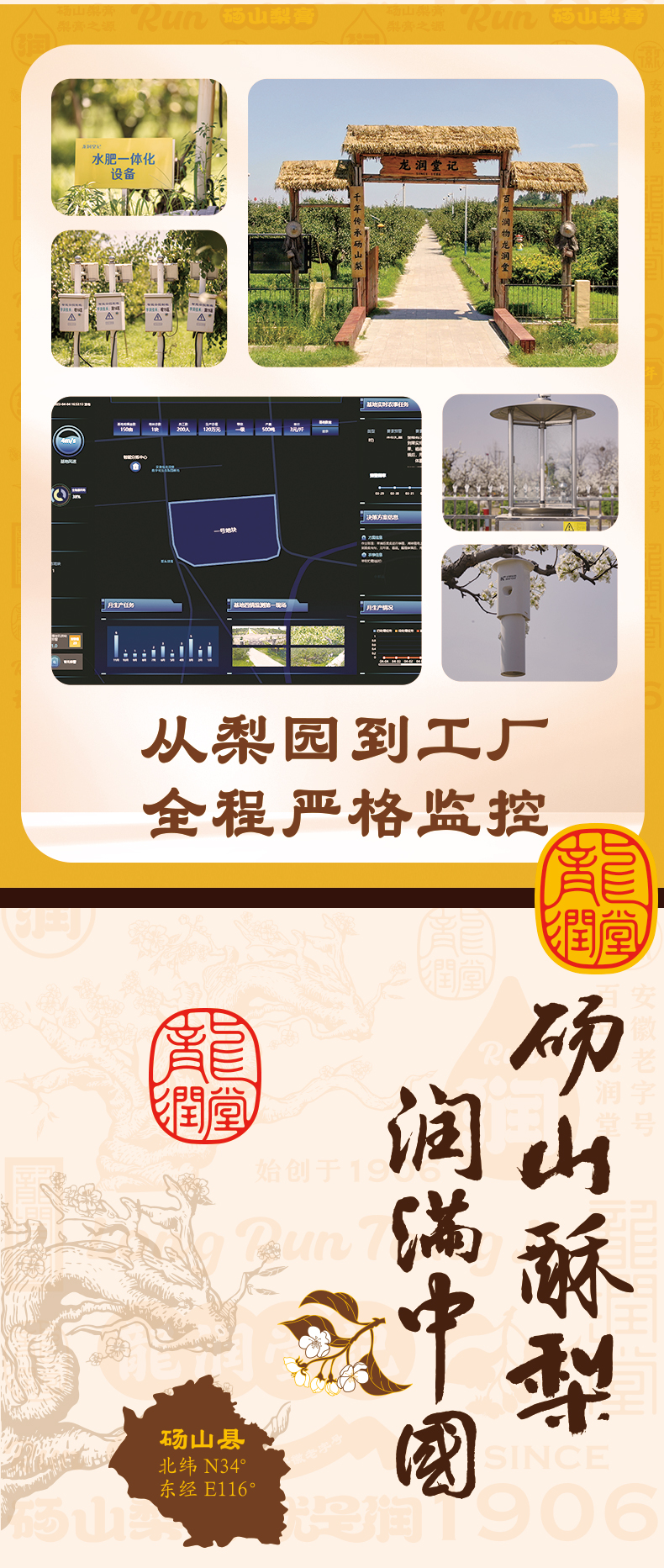 龙润堂梨膏（条装） 详情图 3