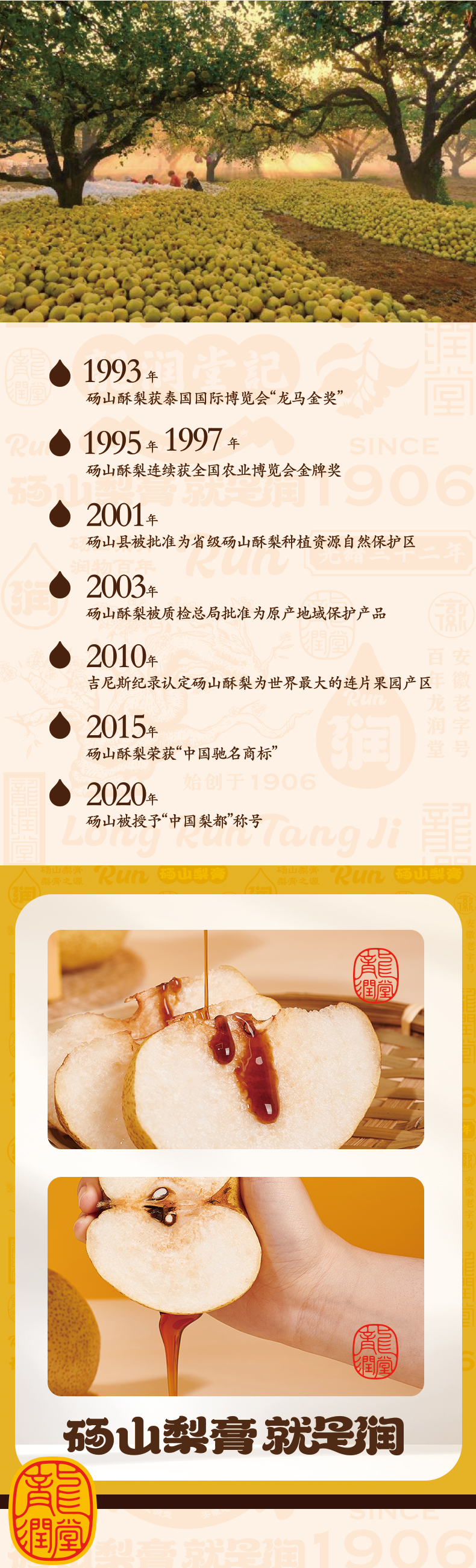 龙润堂梨膏（条装） 详情图 4