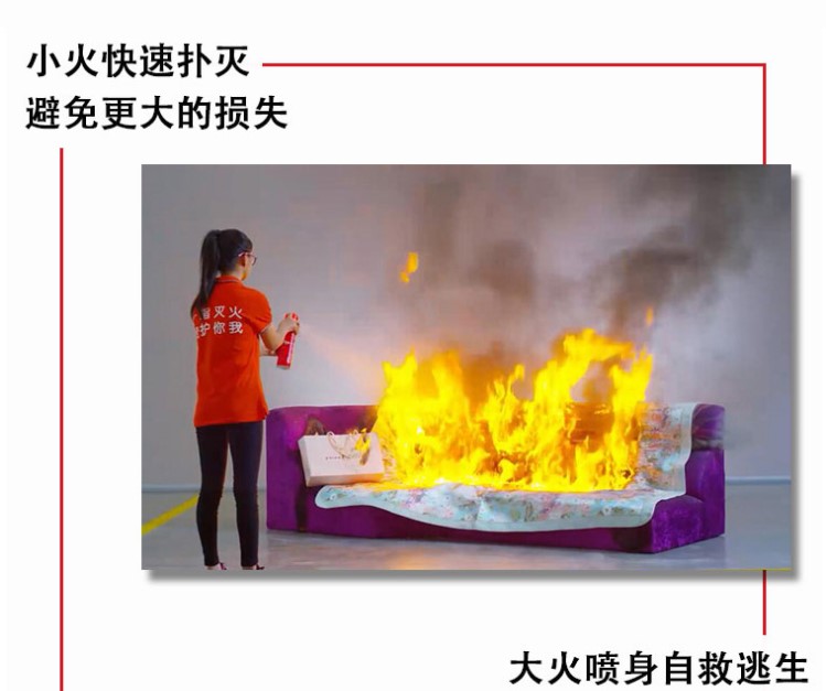 简易式水基型灭火器 详情图 3
