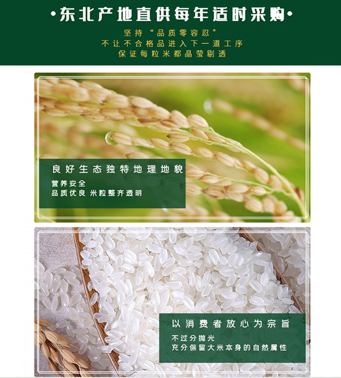 大米-长粒香 图片 2