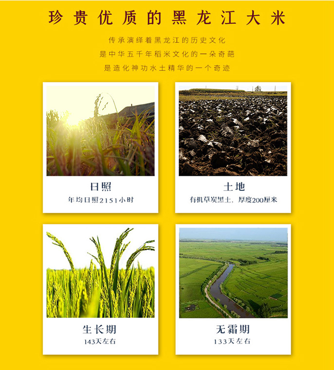 大米-长粒香 图片 1