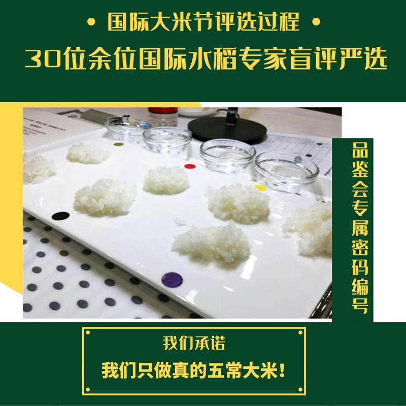 五常大米-稻花香 图片 3