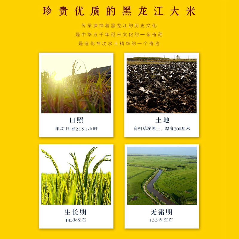 大米-龙道香米 图片 5