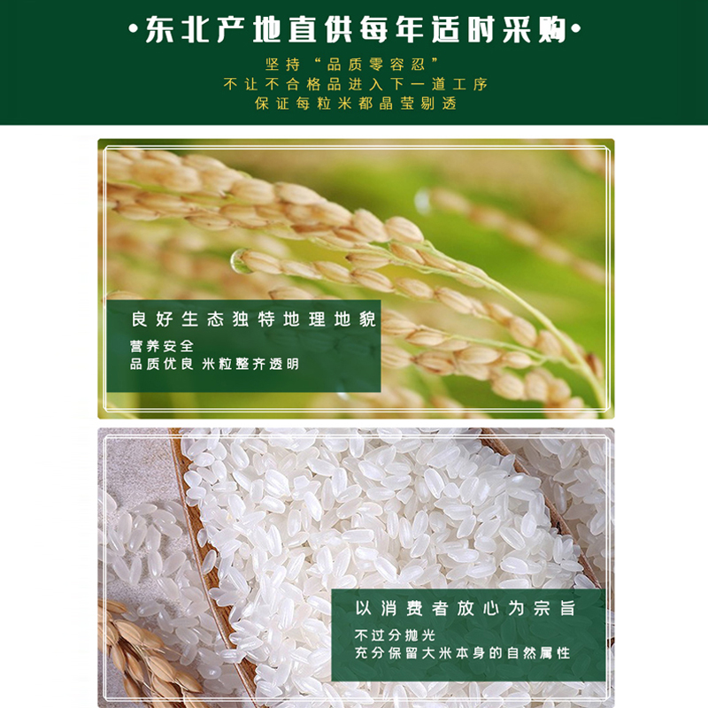 大米-龙道香米 图片 1