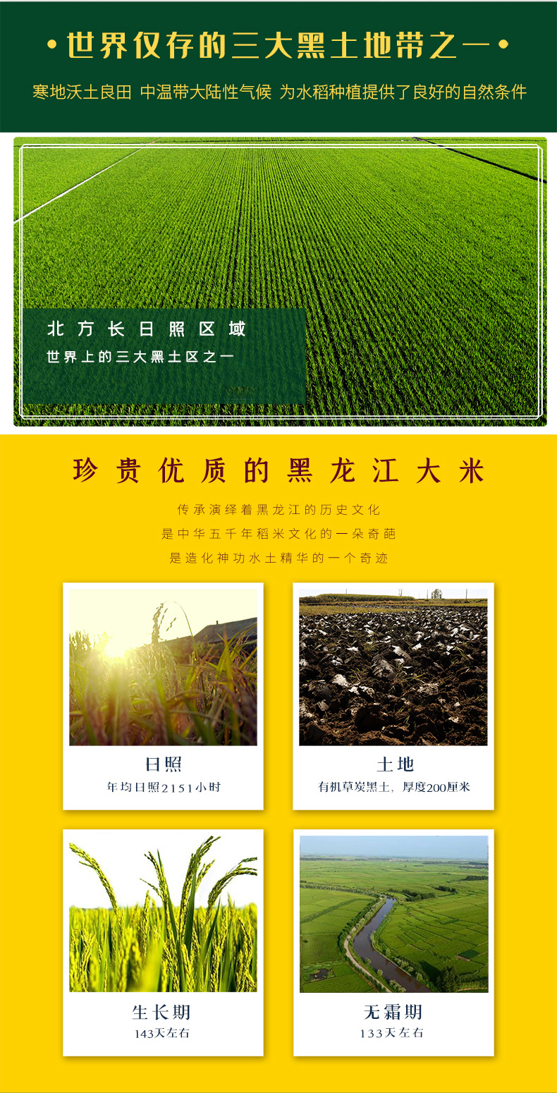 大米-龙道香米 详情图 3