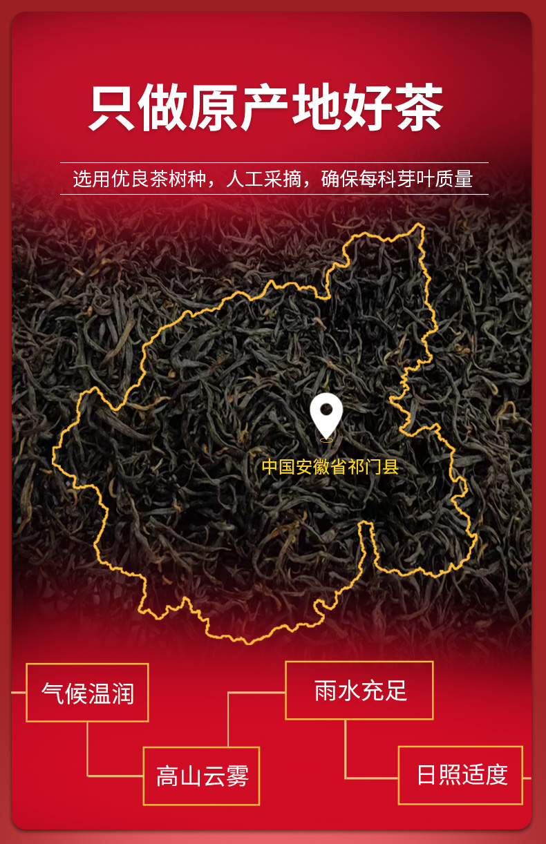 祁门红茶(二级) 详情图 2