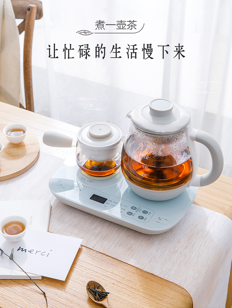 小熊煮茶器ZCQ-A08E1 详情图 4