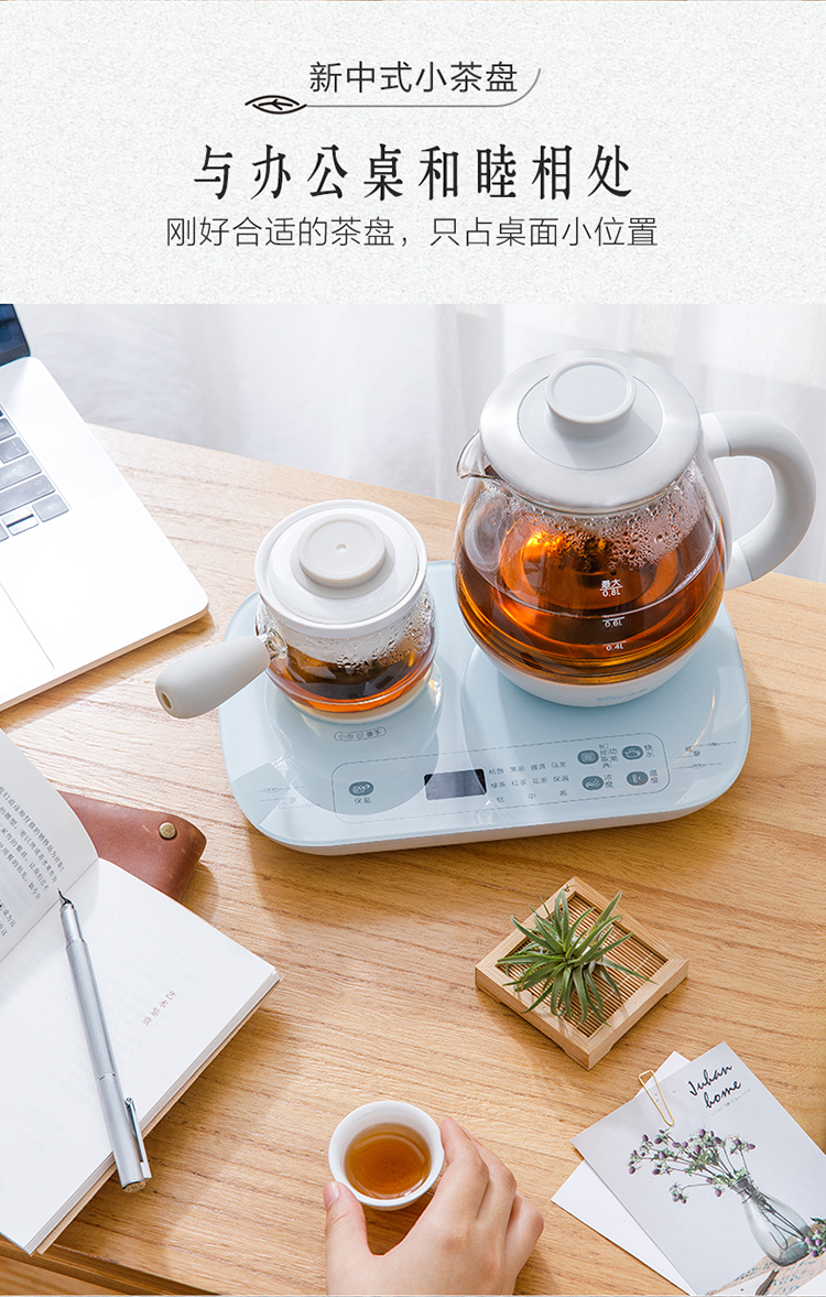 小熊煮茶器ZCQ-A08E1 详情图 5