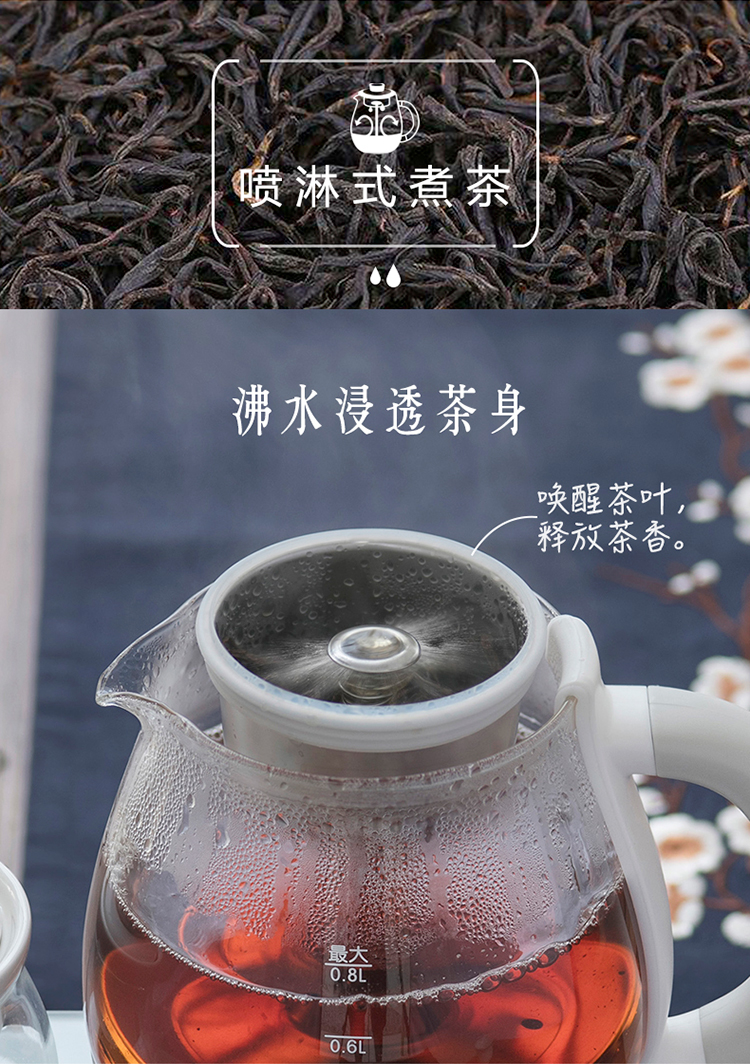 小熊煮茶器ZCQ-A08E1 详情图 6