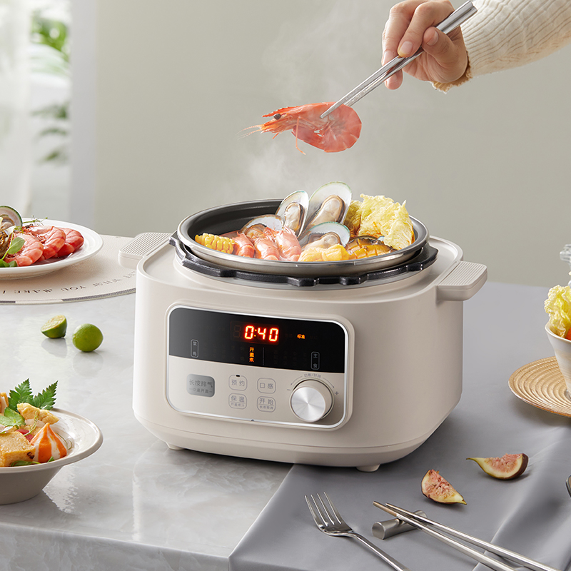 小熊电压力锅YLB-D25F1 图片 1