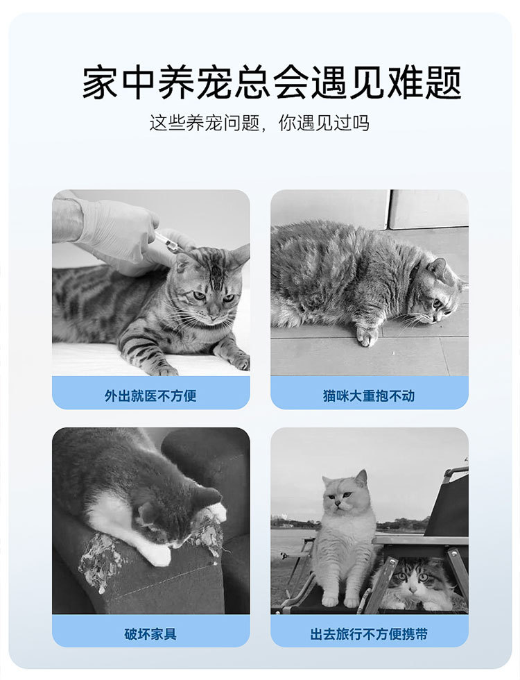 宠物航空箱 详情图 2