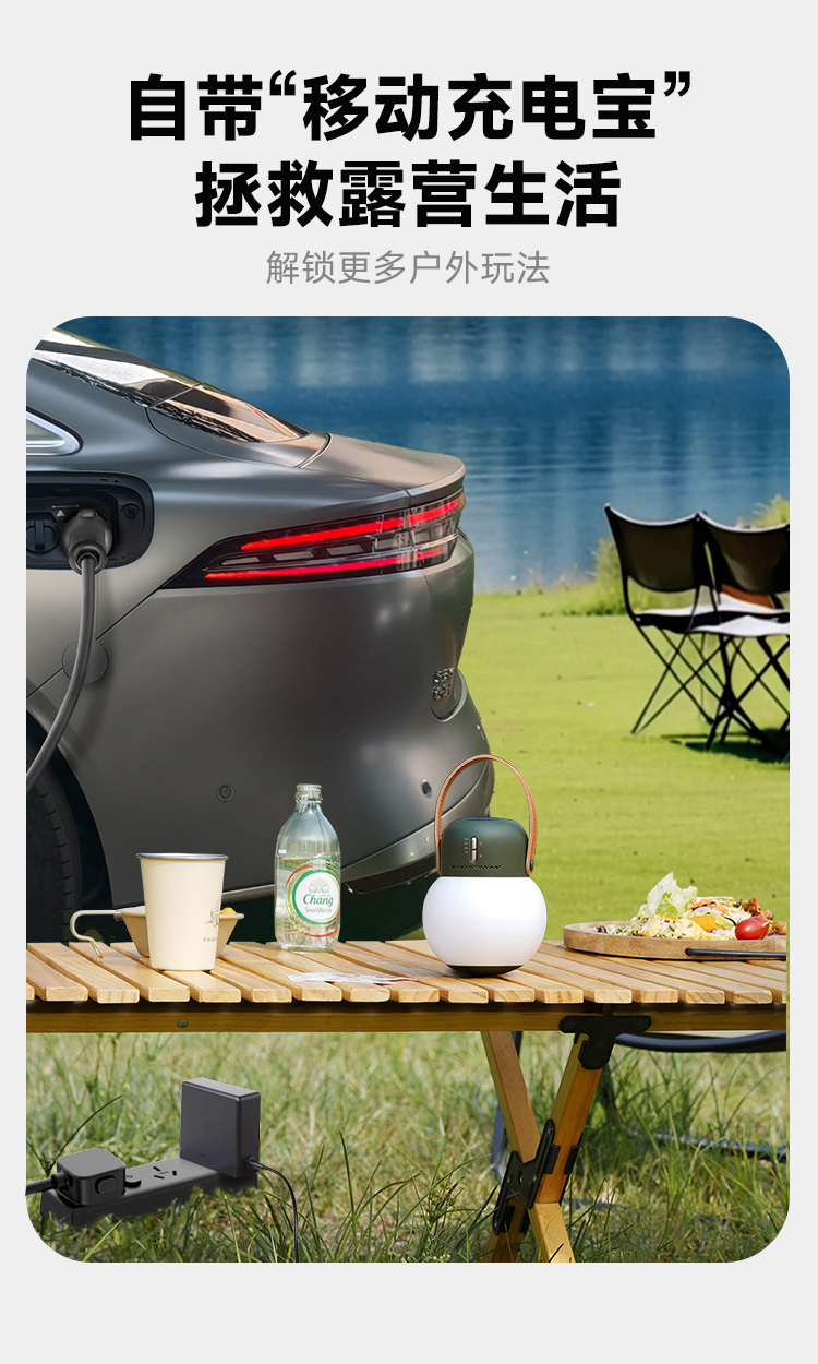 充放电一体枪 奇瑞风云款 详情图 5