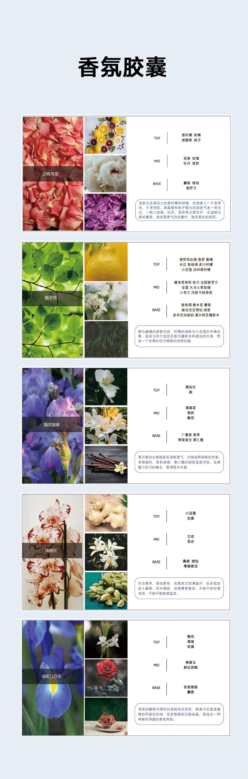 X3系列专属 水杯型香氛-香氛胶囊 详情图 2