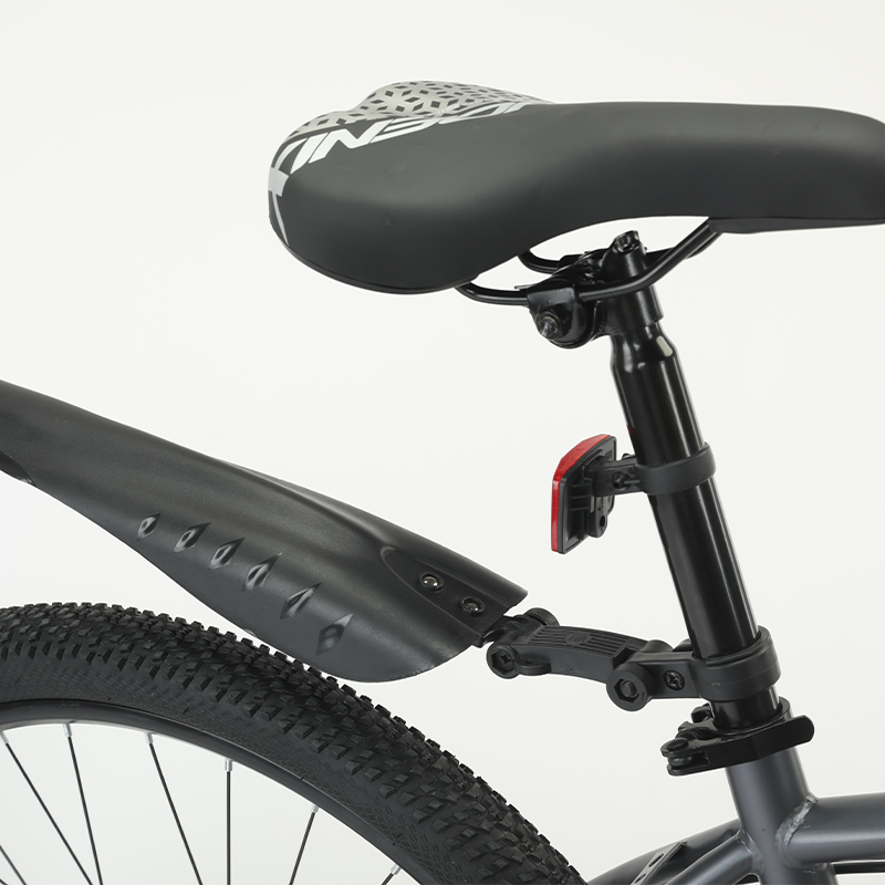 凤凰(PHOENIX)山地自行车-霸道 图片 3