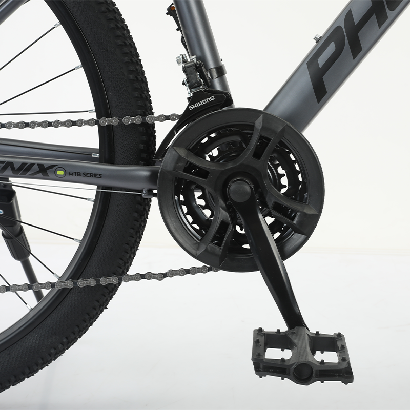 凤凰(PHOENIX)山地自行车-霸道 图片 4