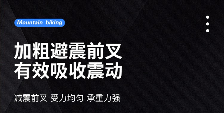 凤凰(PHOENIX)山地自行车-霸道 详情图 4