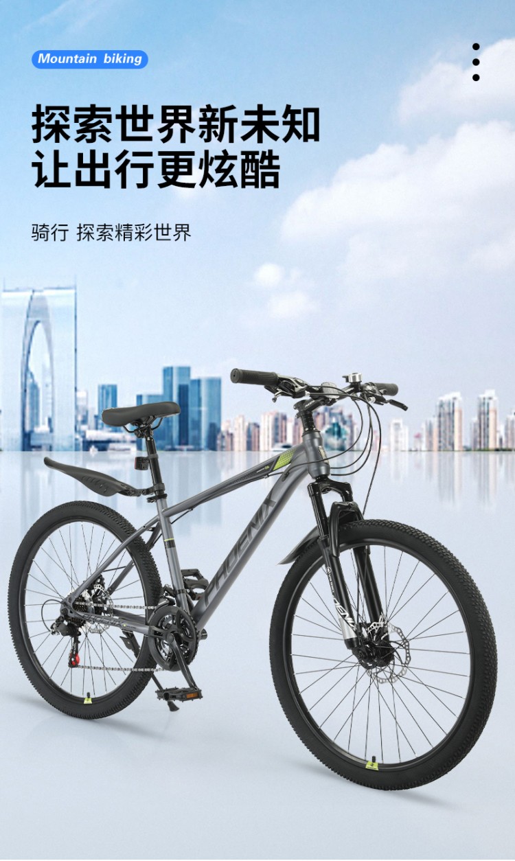 凤凰(PHOENIX)山地自行车-霸道 详情图 1