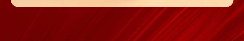 YSL皮革气垫 15g 详情图 4