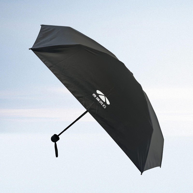 风云A9L 定制晴雨伞 图片 2