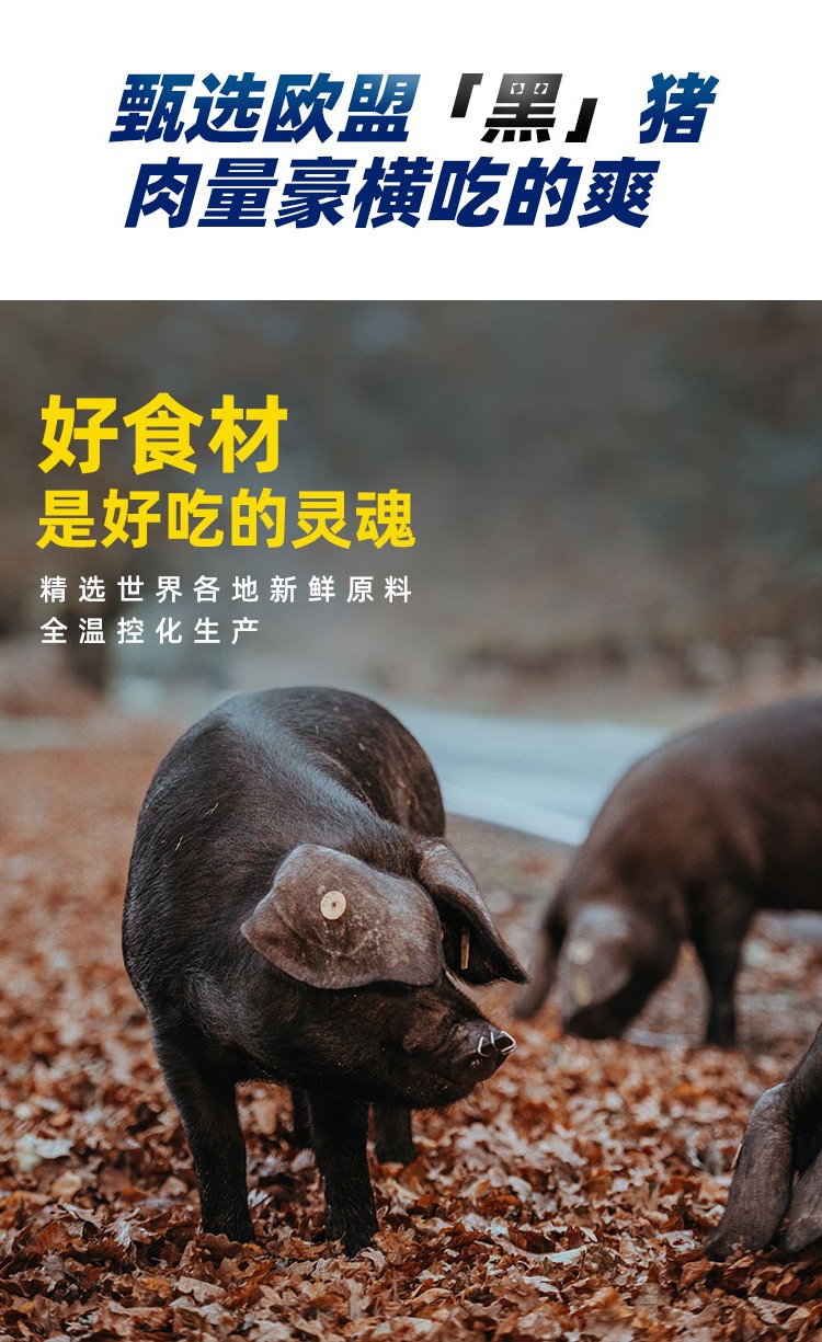 肉敢当 黑猪午餐肉 详情图 4