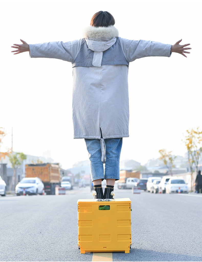 爱车屋（ICAROOM）多功能折叠购物车 图片 2