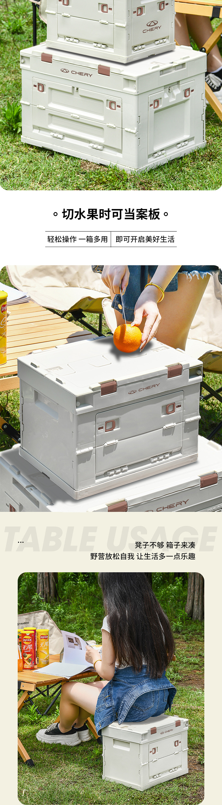 奇瑞定制收纳箱-大号 详情图 2