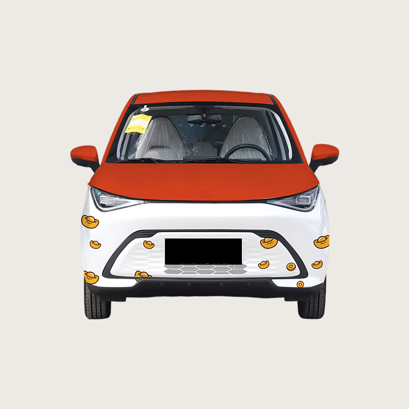 多米彩绘膜（不含安装） 图片 3