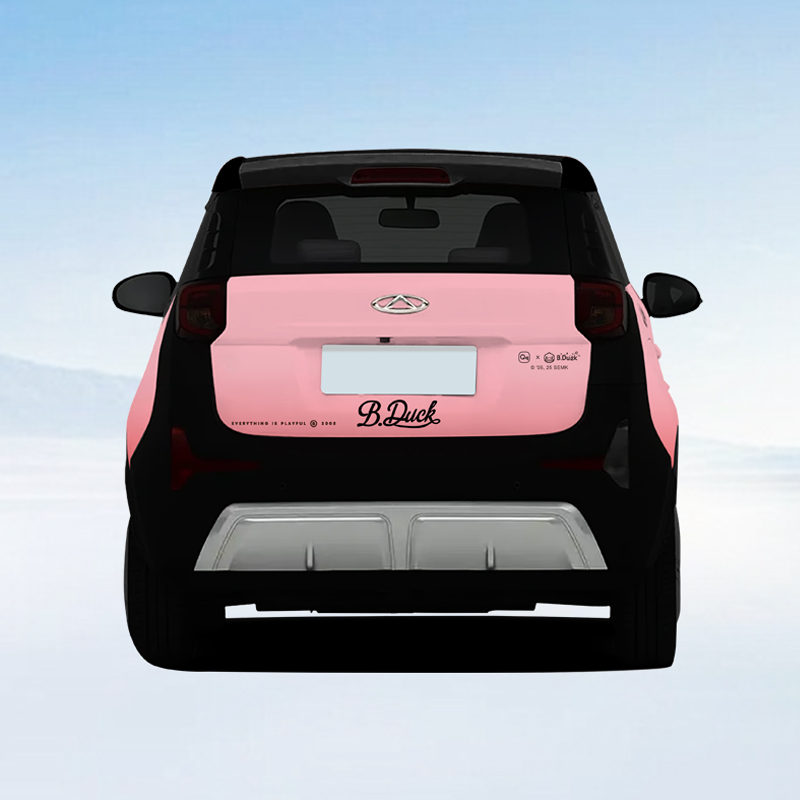 小黄鸭车衣-小蚂蚁（不含安装） 图片 4