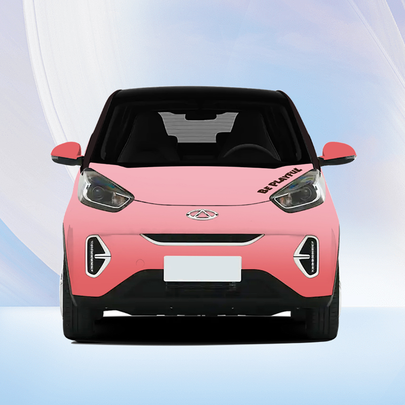 小黄鸭车衣-小蚂蚁（不含安装） 图片 2