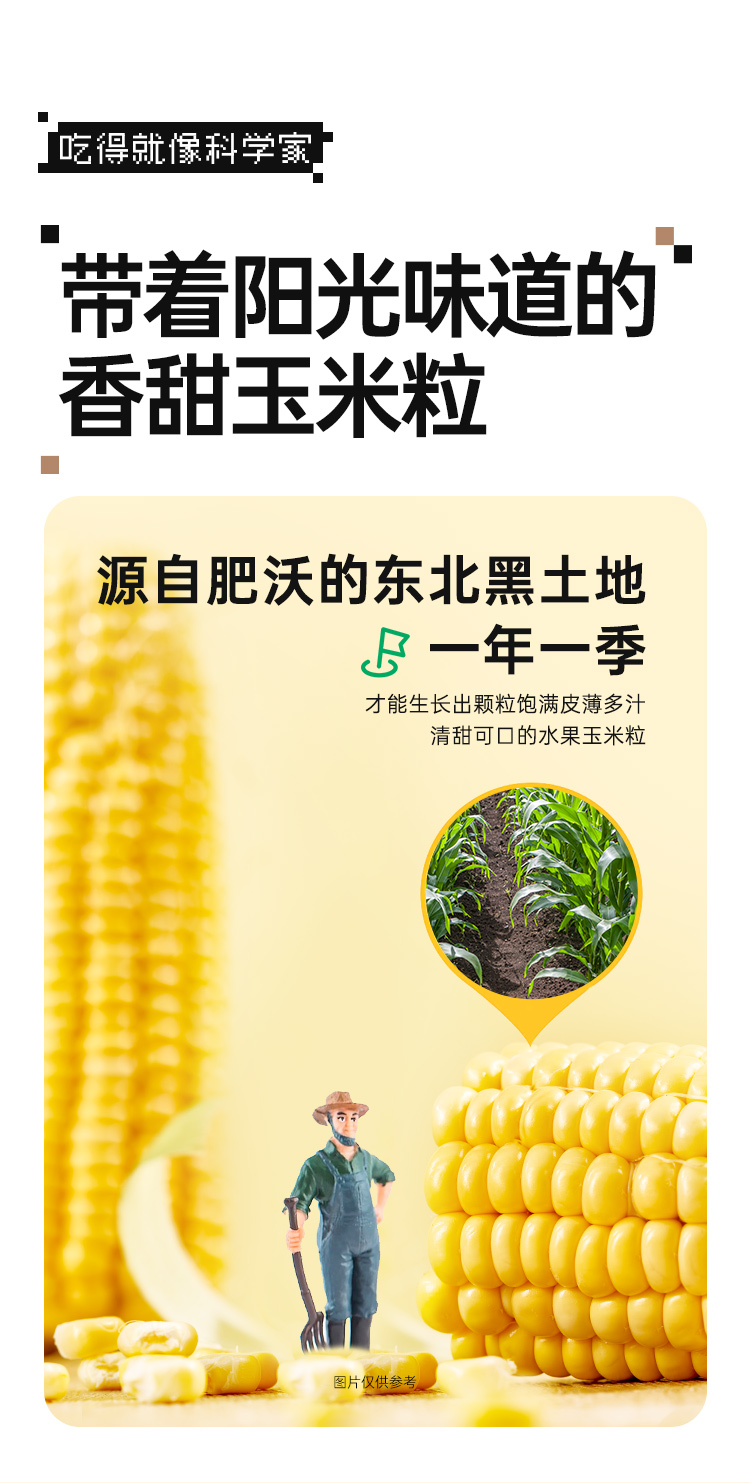 甜玉米粒 详情图 3