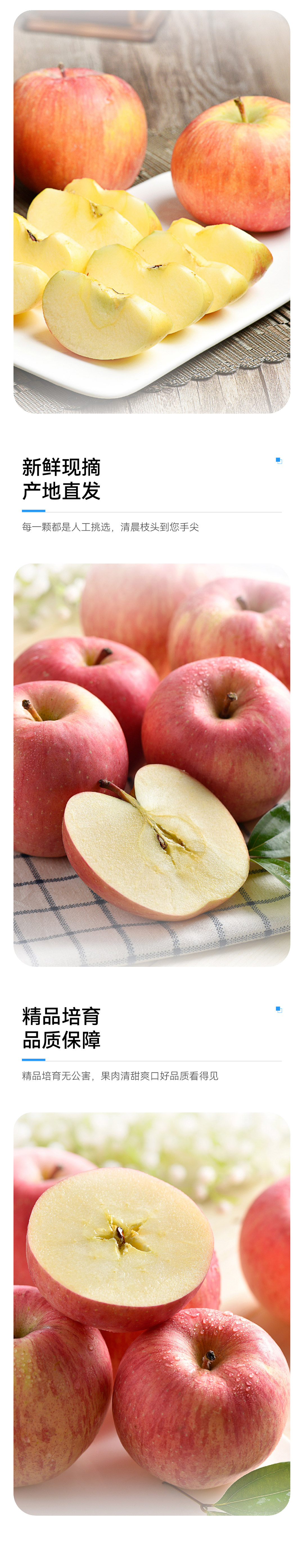 车主共创|山西红富士苹果 详情图 2