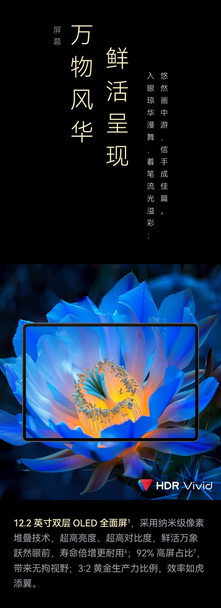 HUAWEI MatePad Pro 12.2英寸柔光版 详情图 3