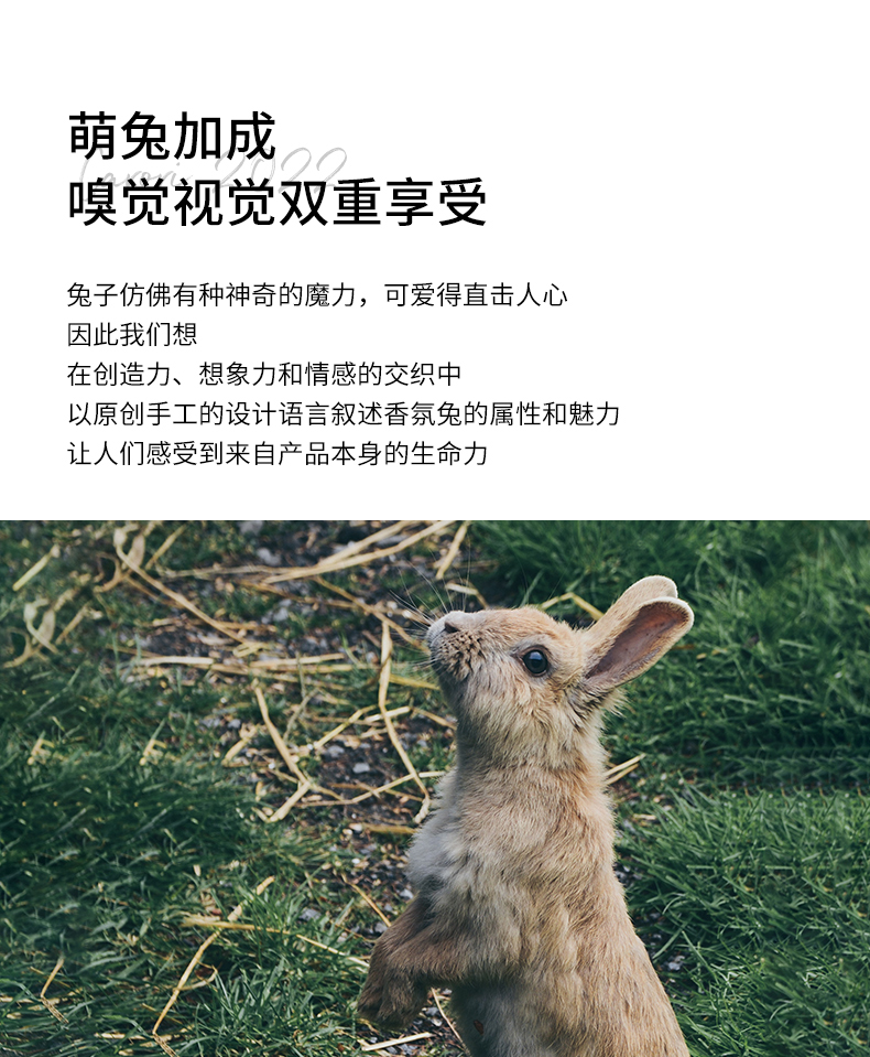 香氛兔挂饰-蓝（奇瑞定制款） 详情图 1